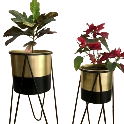 Round Brass Planters