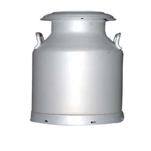 Sliver Milk Container