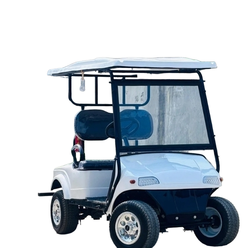 2 Seater Golf Cart