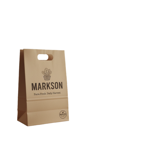 Kraft Paper Bags with Die Cut Handle