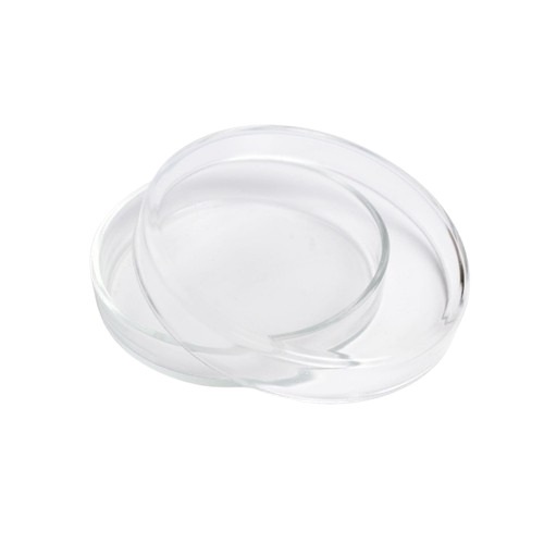 Petri Dish 60 X 15mm