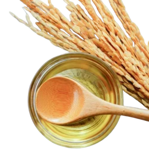 Rice Bran Oil