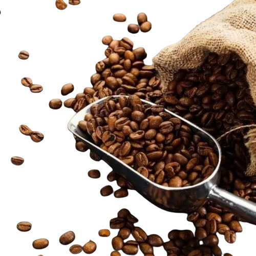 Roasted Coffee Bean