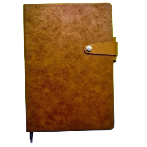 Fancy Diary