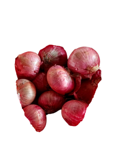 Red Big Onion