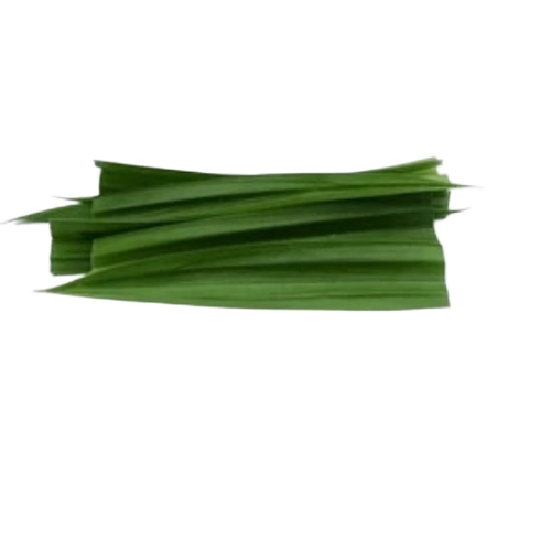 Herb Pandan Leave