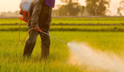 Botanical Pesticides