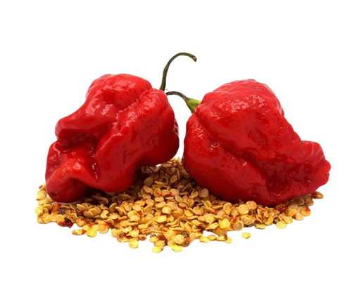 Hot Pepper Seed