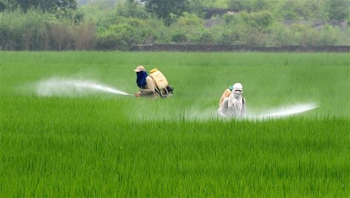 Organic Pesticides
