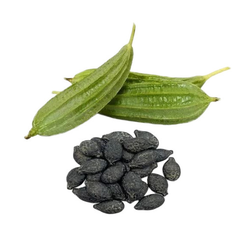 Ridge Gourd Seeds