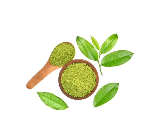 Green Tea Extract