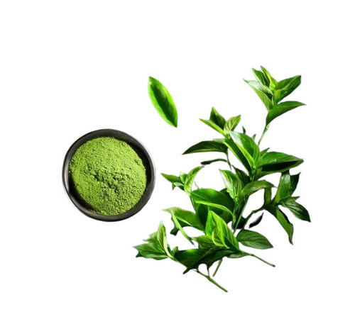 Tea Extract