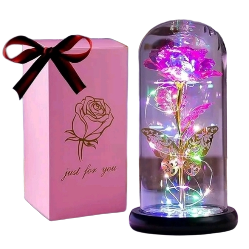 Home Decor Gift