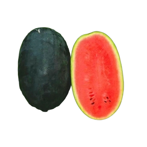 Red Watermelon