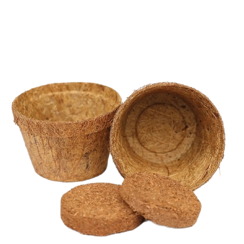 Coir Pot