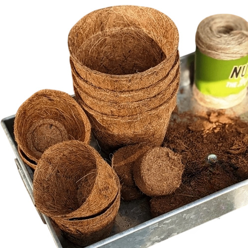 Coir Pots Bowl