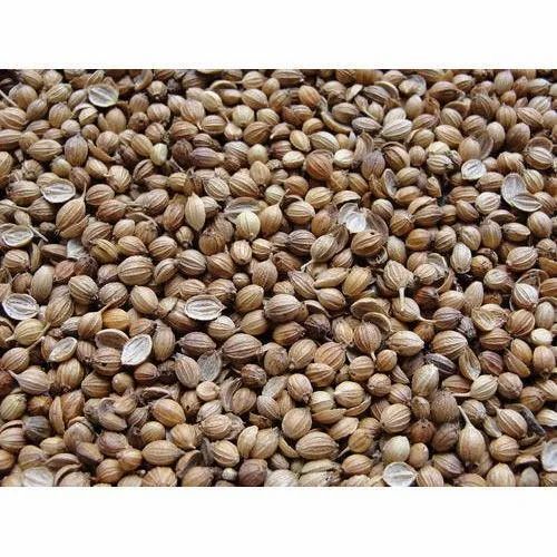 Coriander Seed - Color: Brown