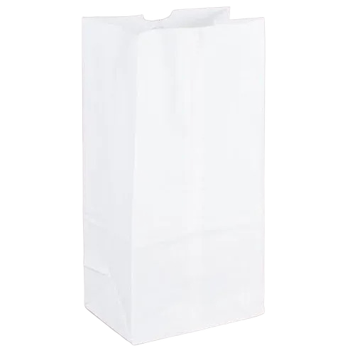 Food Grade Kraft Paper Bags - Color: White