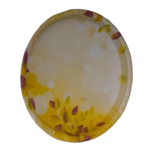 Paper Plates