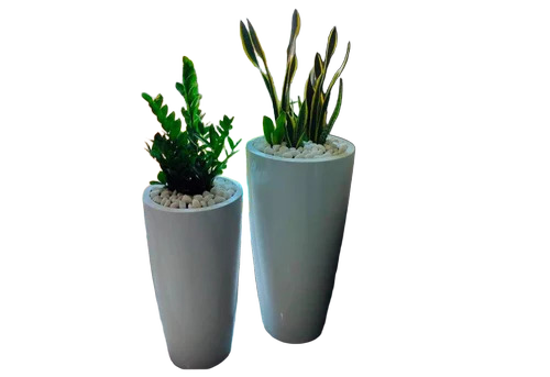 White Round Outdoor Frp Planters - Shape: Custom Choice