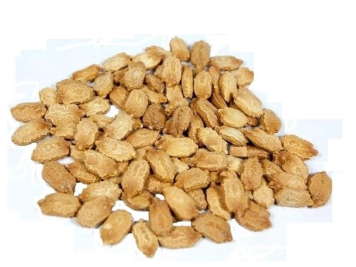 Bitter Gourd Seeds