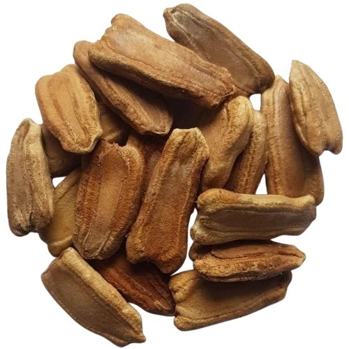 Bottel Gourd Seeds