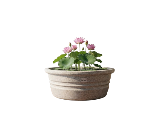 Garden Planters