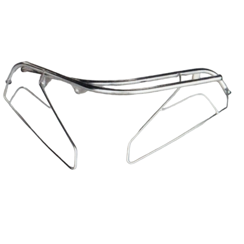 Silver Suzuki Access Crash Guard