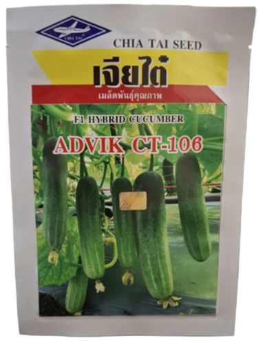 Light Green Hybrid Cucumber Seed