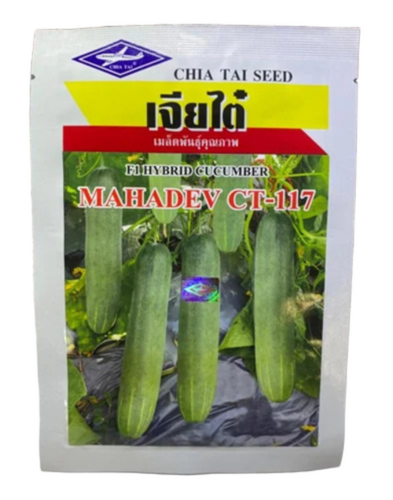 Packed Cucumber Hybrid Seed