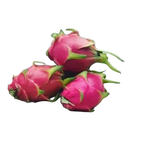 Rich Nutrients Dragon Fruit