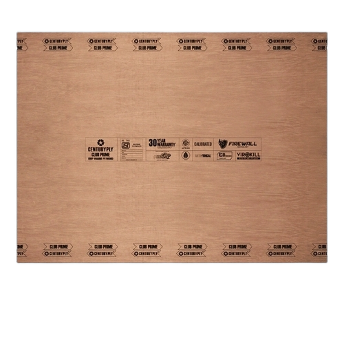 Century Ply Club Prime Plywood 