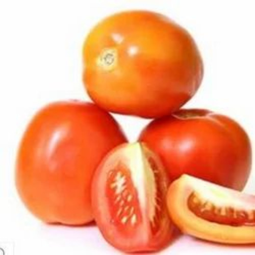 Fresh Tomato