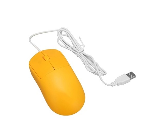 Computer Mouse
