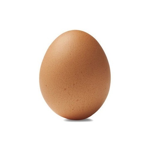 Brown Eggs