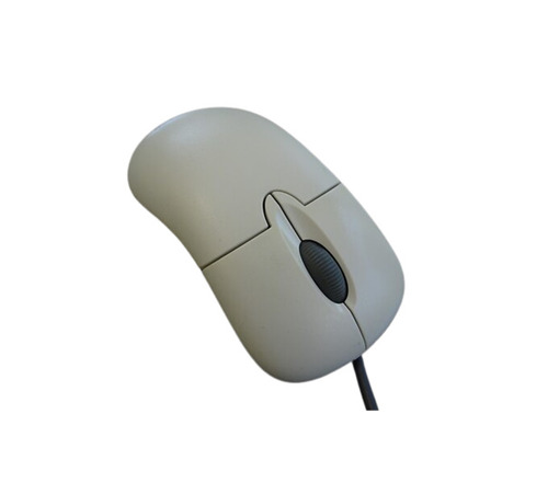 Computer Mouse