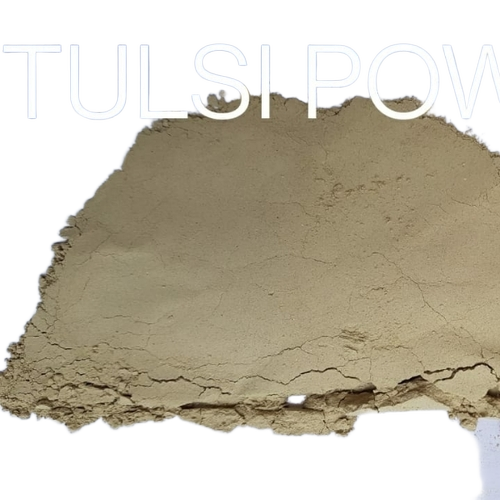 Tulsi Powder