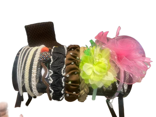 Fancy Hair Bands