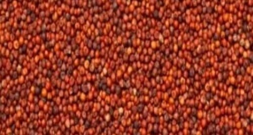 Red Finger Seed