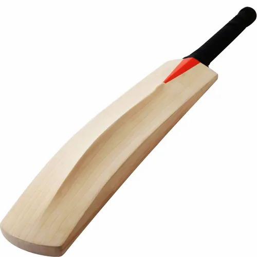Cricket Bat