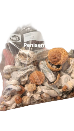 Dry Mushroom - Capacity: 1 Kg