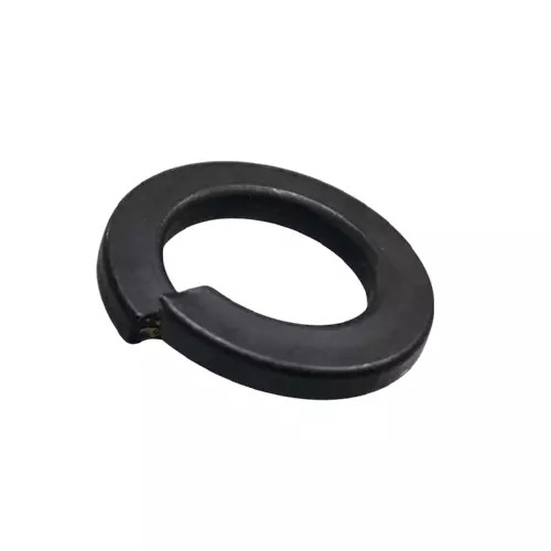 Mild Steel Spring Round Washer