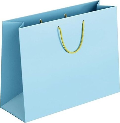 Non Laminated Gift Paper Bags