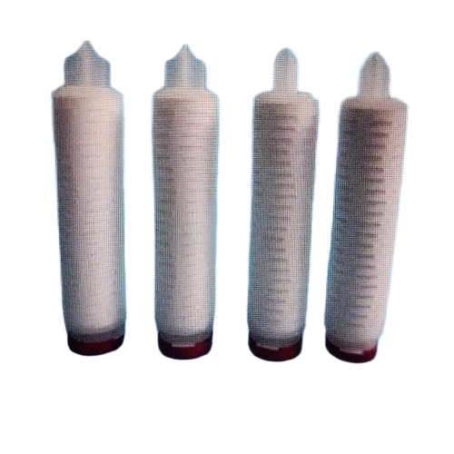 Pleated Filter Cartridge With Doe