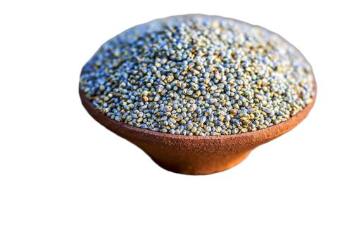 Pearl Millet