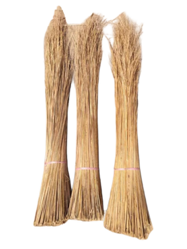 Broom Raw Material