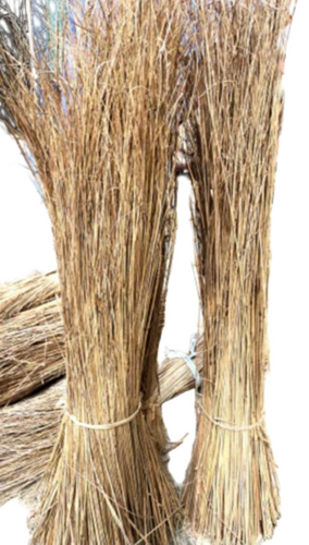 Long Coconut Broom Sticks