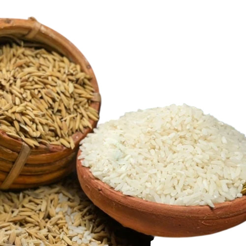 Short Grain Rice