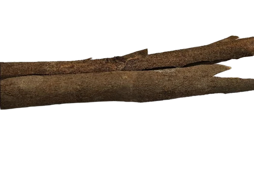 Regular Split Cassia