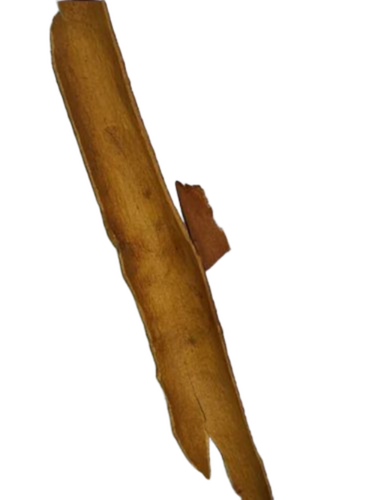 Standard Split Cassia